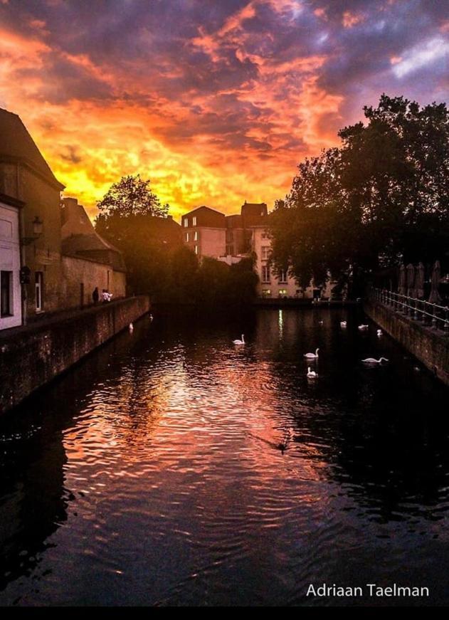 Canal Central Brugge Eksteriør bilde